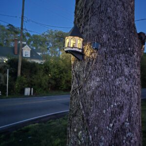 Bird House