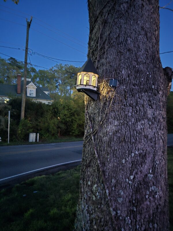 Bird House